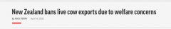 新西兰发布种牛出口禁令，“缺牛”困扰新建牧场，奶价还要涨？