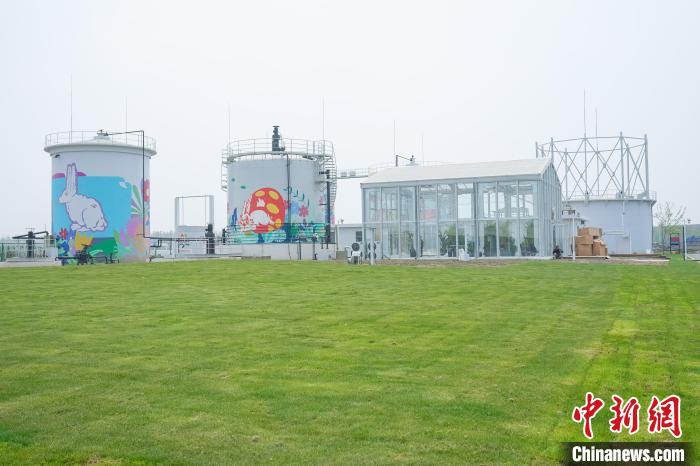 第十届花博会进入冲刺阶段带你提前“打卡”吃喝玩乐