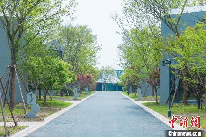 第十届花博会进入冲刺阶段带你提前“打卡”吃喝玩乐光明集团供图摄