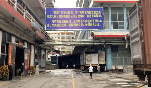 实探风波中的椰树：美女广告被撤，露骨招聘背后陷“中年危机”？