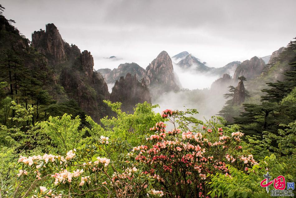 五一旅游推荐：黄山摄影师撰写的旅游攻略(图)