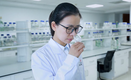 酒业荣耀！洋河股份1人2集体荣获全国五一劳动表彰