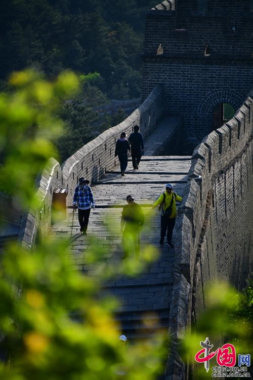 金山岭长城：立夏之日草木葱茏 一派生机勃勃