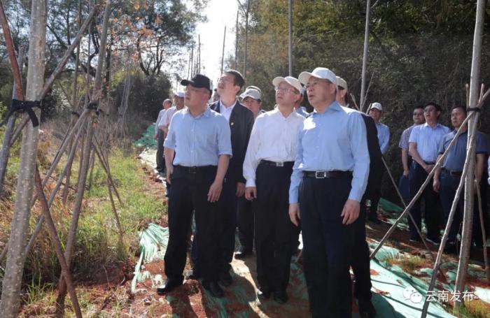 云南省委书记阮成发、省长王予波率队对滇池保护治理昆明市立行立改工作进行现场督办。图片来源：云南发布