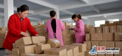 【奋斗百年路 启航新征程·同心奔小康】江苏东海：线上店铺 7.3 万个 超5万人触网 电商为乡村振兴装上速度“新引擎”