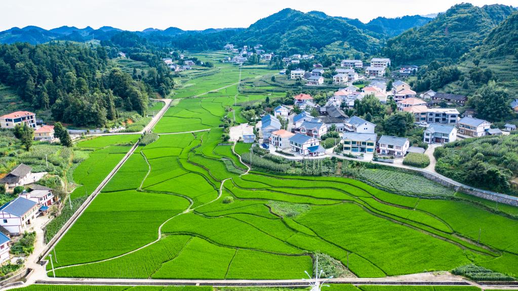 “转折之城”，满满“转折之志”——习近平总书记到过的红色圣地之贵州篇