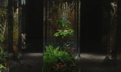2021第六届北京国际花植设计节9月开幕