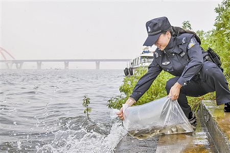 严惩非法捕捞促进生态修复 1.1万尾鱼苗投放湘江