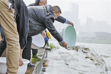 严惩非法捕捞促进生态修复 1.1万尾鱼苗投放湘江