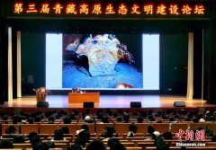 专家：吐蕃时期大墓金器、丝织品见证古丝路联通中西