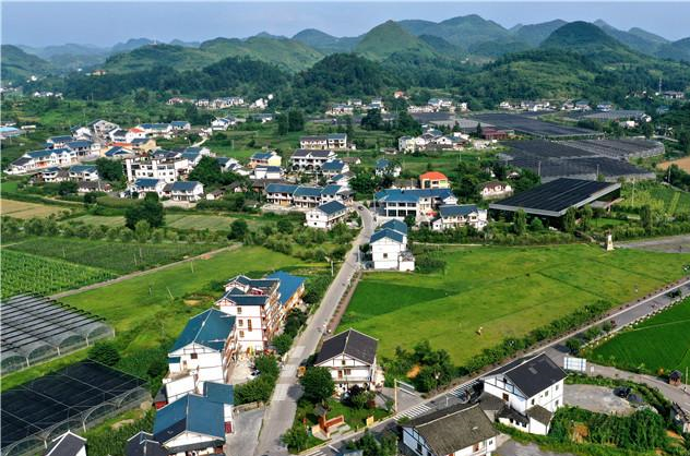 农业农村部：到“十四五”末期共建60个左右全国农业科技现代化先行县