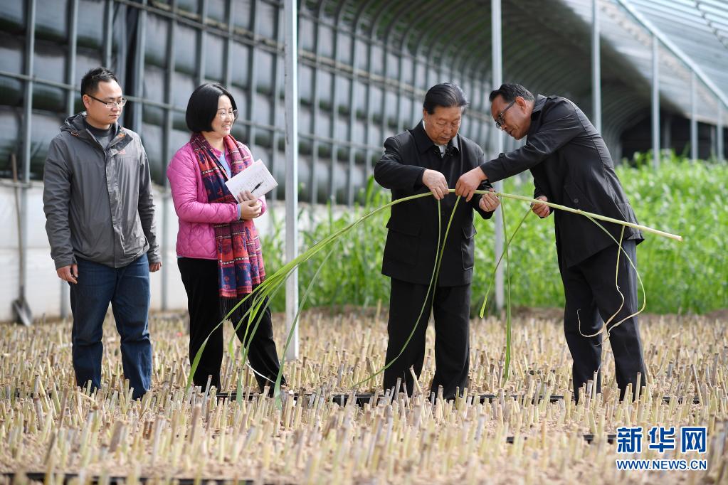 奋斗百年路 启航新征程·神州巡礼丨宁夏：跨越千年贫困 向“新”加速先行