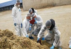 从牧场车间到销售一线，蒙牛全面开展党史学习教育凝聚改革发展力量