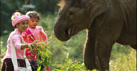 【跟着大象逛云南·“象”滇记】 ①西双版纳：心之所“象”的地方