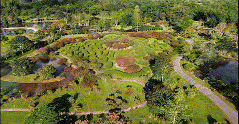 【跟着大象逛云南·“象”滇记】 ①西双版纳：心之所“象”的地方