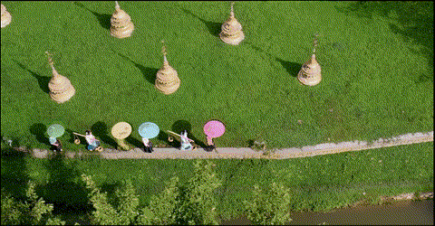 【跟着大象逛云南·“象”滇记】 ①西双版纳：心之所“象”的地方