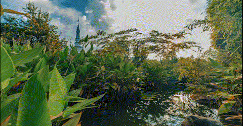 【跟着大象逛云南·“象”滇记】 ①西双版纳：心之所“象”的地方