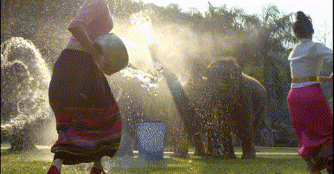 【跟着大象逛云南·“象”滇记】 ①西双版纳：心之所“象”的地方