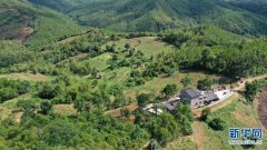 【跟着大象看生态】大象食堂“约饭”记