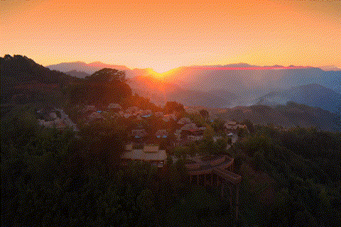 【跟着大象逛云南·“象”滇记】②普洱:“象”见恨晚的地方