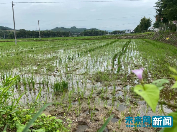 【网络媒体革命老区行】三明建宁：生态立县绿色发展 在这里“建”美好
