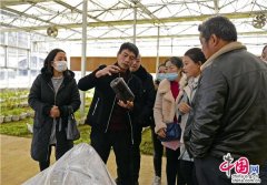 全国优秀共产党员王钦：我想帮助更多人致富
