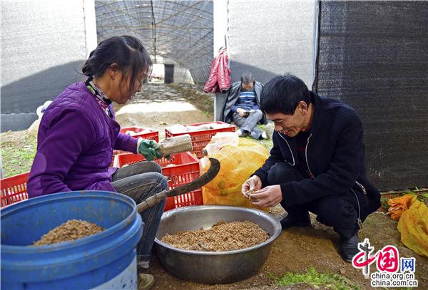 全国优秀共产党员王钦：我想帮助更多人致富
