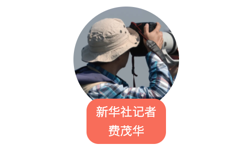 我在现