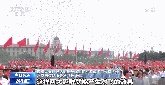 10万羽和平鸽筛选有何要求？放飞10万只气球有啥讲究？