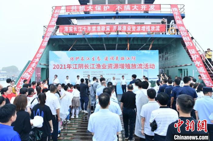 江苏江阴连续20年增殖放流鱼苗 累计超过1.7亿尾