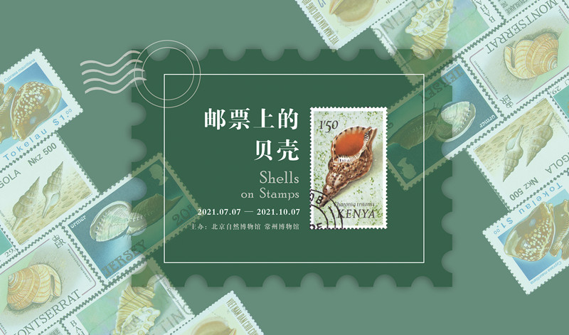 《邮票上的贝壳》展亮相北京自然博物馆