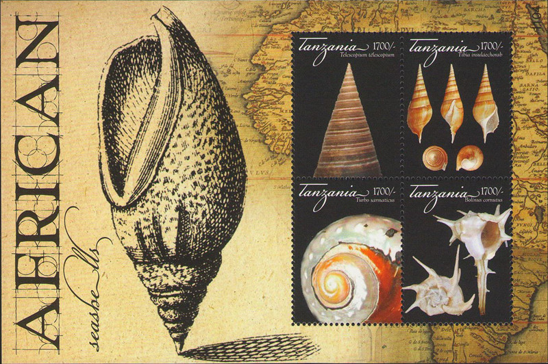 《邮票上的贝壳》展亮相北京自然博物馆