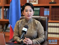 专访：“蒙中两国在抗击新冠疫情方面的合作堪称典范”——访蒙古国外长巴特策策格