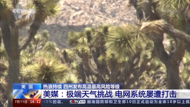 美媒：极端天气挑战下 美国电网系统已经不止一次败下阵来