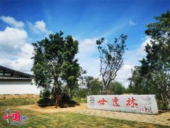 第44届世界遗产大会“世遗林”植树活动举办