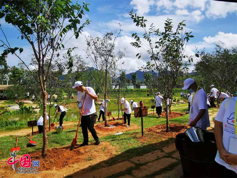 第44届世界遗产大会“世遗林”植树活动举办