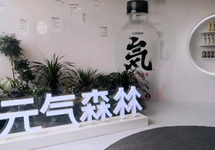 一个95后的自白：我在元气森林看到了什么
