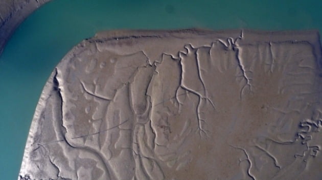 韩国滩涂申遗成功 曾因面积不够大被联合国退回