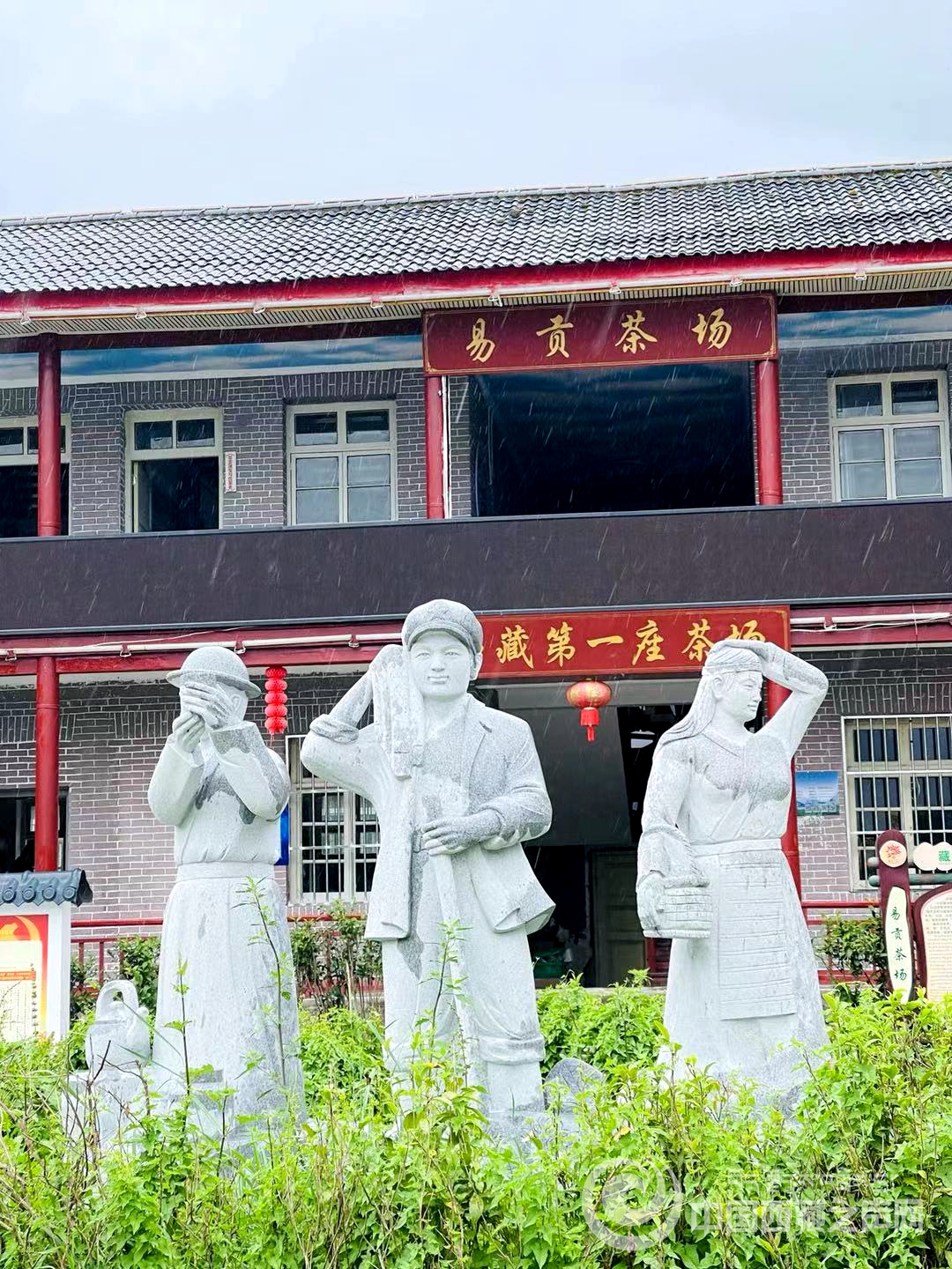 【石榴花开 籽籽同心】小茶叶托起大产业