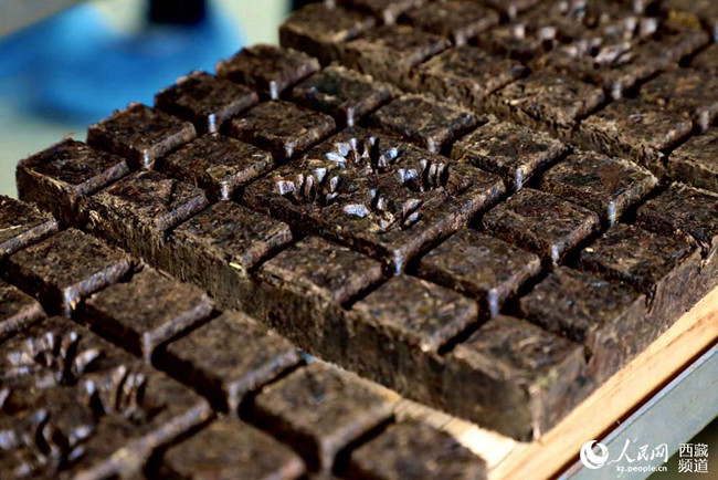 【石榴花开 籽籽同心】波密易贡：一片小茶叶，兴了乡村，富了百姓