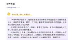 野生动物园：游客因琐事纠纷 动物首次看人类打斗