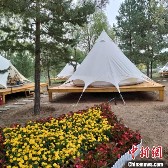 苏炳添喊话网红城市 康巴什回应：给个地址邮寄雪糕