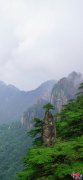 黄山“森系”主题，张张可做手机壁纸(组图)