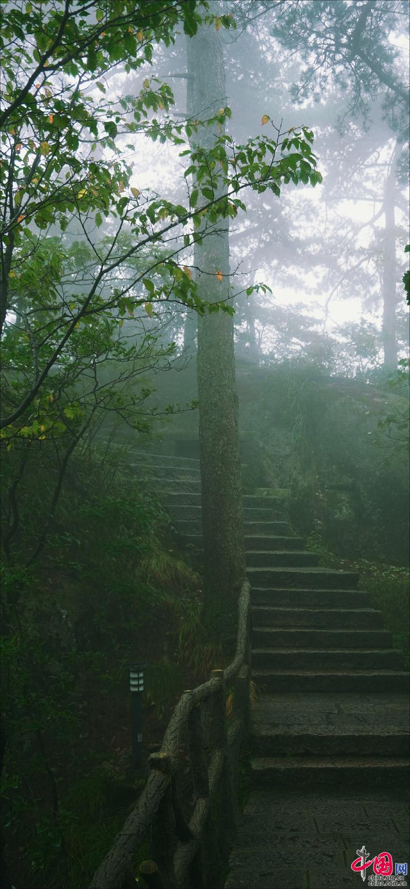 黄山“森系”主题，张张可做手机壁纸(组图)