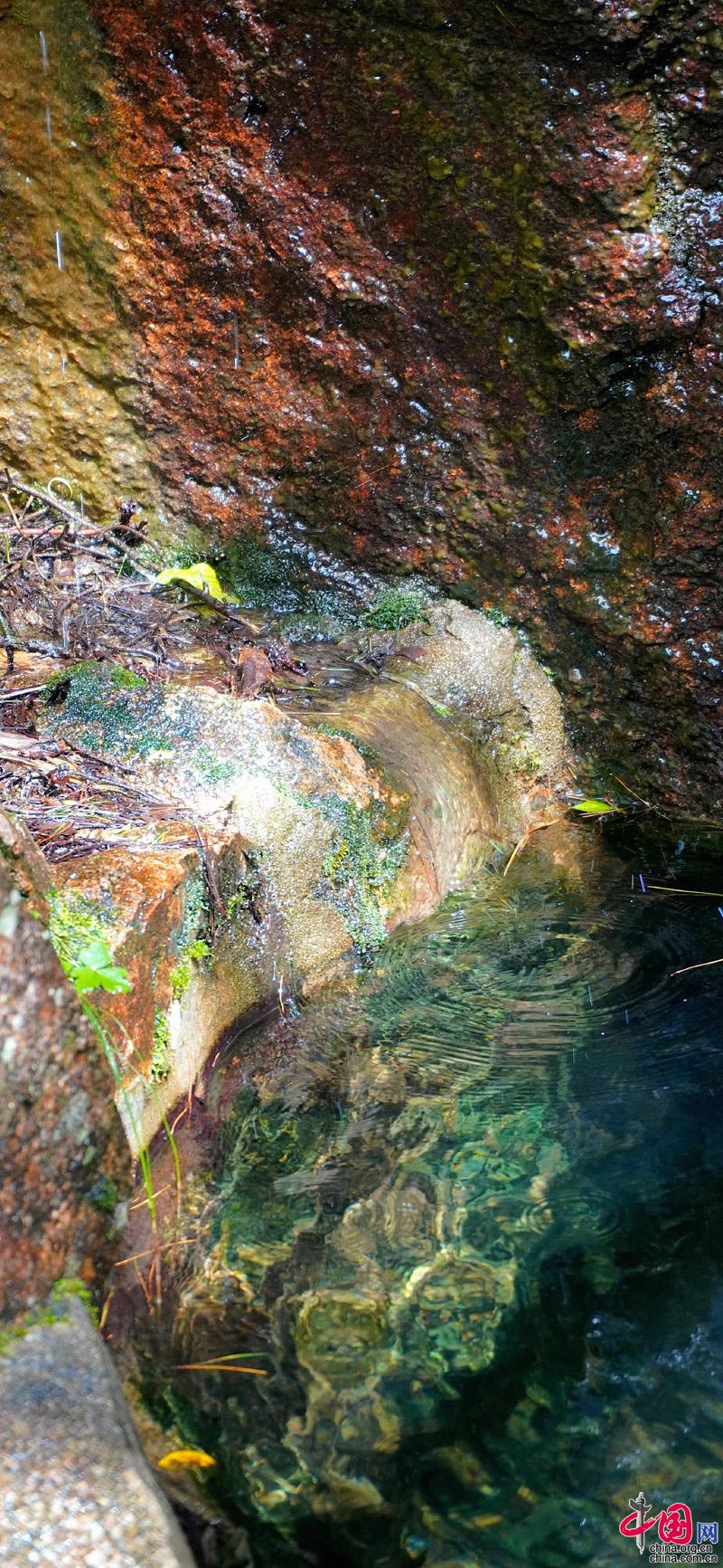 黄山“森系”主题，张张可做手机壁纸(组图)