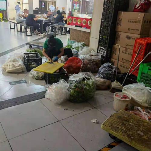 菜筐下爬蟑螂，垃圾桶旁放食材，一些美食城卫生堪忧