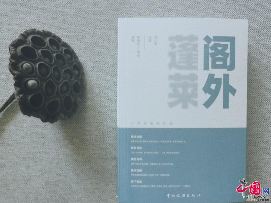 新作出版 | 孙小荣:为什么要提“阁外蓬莱”?