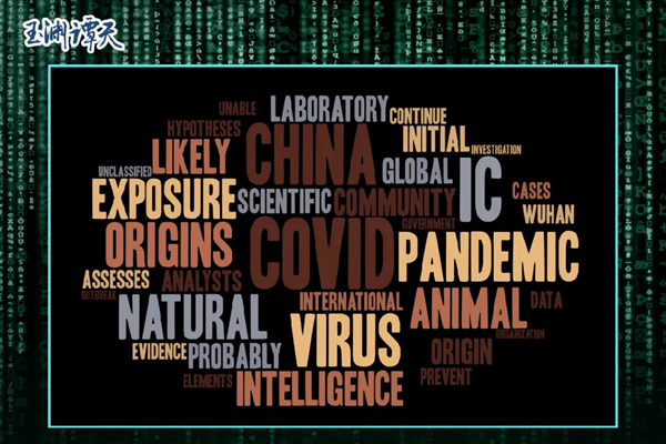 溯源美国丨揭开虚伪报告背后的真相