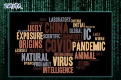 溯源美国丨揭开虚伪报告背后的真相