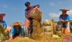 湖南雪峰山：金九银十 丰收节掀起乡村振兴新高潮